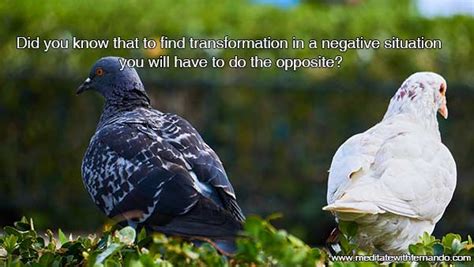 Fallacy Types 的图像结果