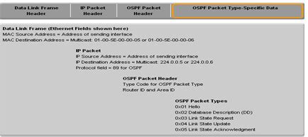 Image result for Ospf Header Format Example Step by Step