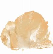 Image result for Sable Mini Lop