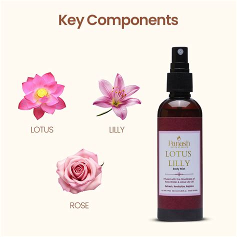 Buy Natural Ayurvedic Face, Hair & Body Care | Panash Wellness