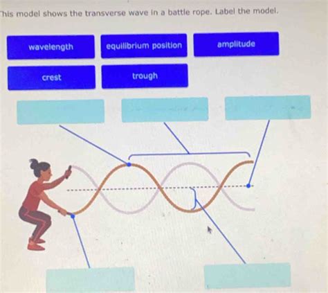 Image result for Transverse Wave Using Rope