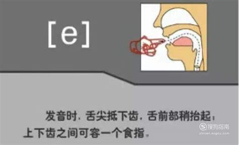 48个音标的中文谐音（如何发音），这些知识你不一定知道 - 天晴经验网