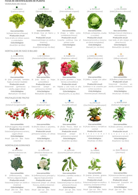 Image result for Violate Mapping Principles InDesign