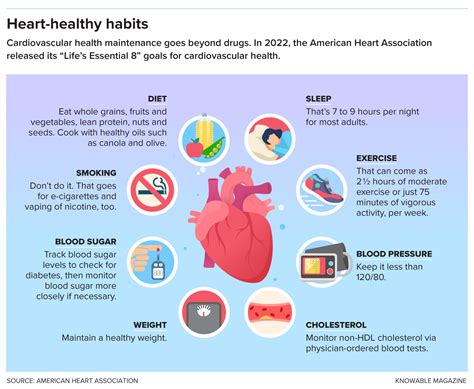Cholesterol explained | Knowable Magazine