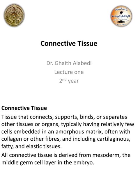 Connective Tissue Tutorial 的图像结果