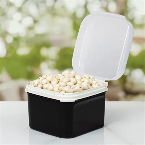 Large Rectangular Bulk Storage Container 2.5L – Tupperware India Pvt Ltd