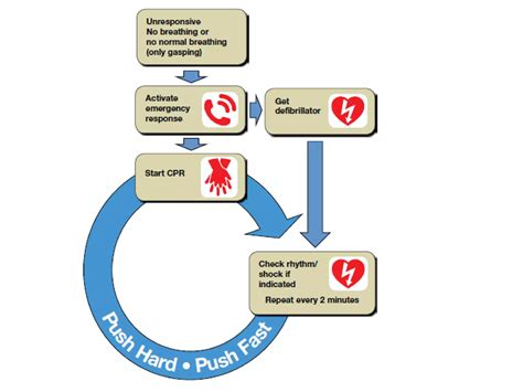 Image result for BLS Megacode