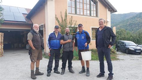 Weinlese - FF Weins-Ysperdorf