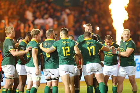 Image result for Springbok Rugby Team