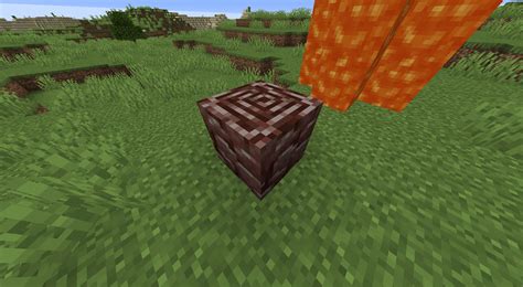 Image result for Algorithm Convolution Outline