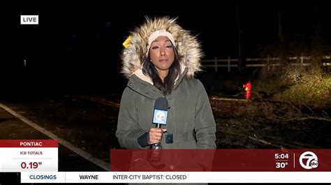 Channel 7 Detroit 的图像结果