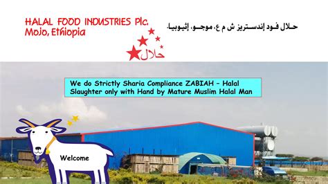 Image result for Modjo Ethiopia