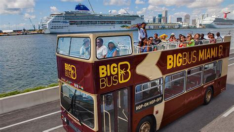 AAA / CAA Member: Big Bus Miami - Tour en autobús turístico, Miami ...