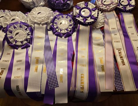 RDP - All In Hand Open Show / ENTRIES CLOSE FRIDAY, Clip-Clop Farm ...