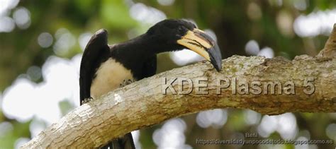 VirtualBox Failed to Load R0 Module 的图像结果