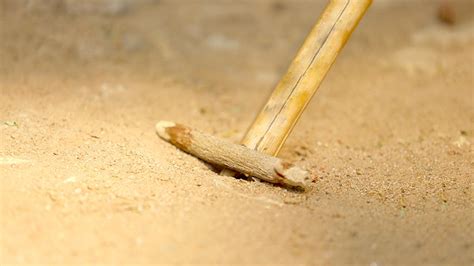 Kuttiyum Kolum | Kuttiyum Pullum | Onam Games | Sports in Kerala