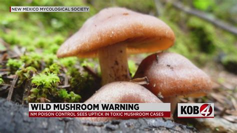 Poisonous Mushrooms
