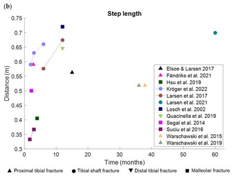 Gait Analysis to Monitor Fracture Healing of the Lower Leg