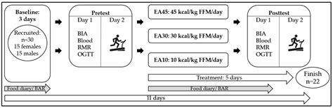 Effects of Short-Term Low Energy Availability on Metabolism and ...
