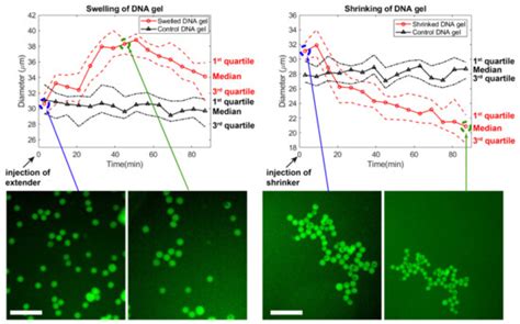 Nanomaterials | Special Issue : DNA-Based Nanostructures: Emerging ...