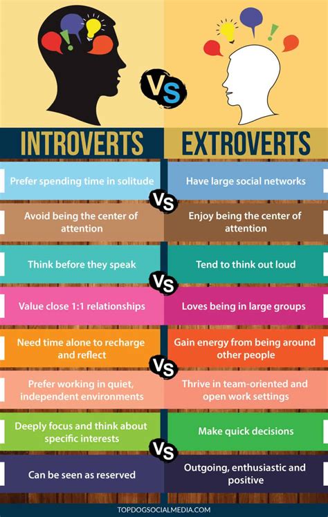Image result for Introvert Extravert