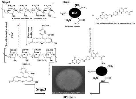 Inihibition of Glycolysis by Using a Micro/Nano-Lipid Bromopyruvic ...