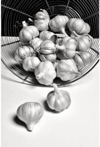 Black And White Garlic Unframed Art Print Canvas Art - ArtzFolio.com ...