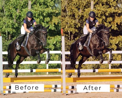 40 Lightroom Presets Horse Riding Horses Equestrian Desktop - Etsy