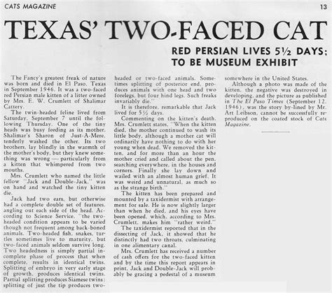 FELINE MEDICAL CURIOSITIES: TWO HEADED / TWO FACED / "JANUS" CATS