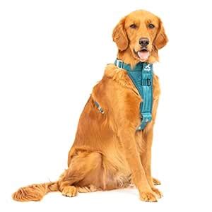 Kurgo Tru-Fit Enhanced Strength Dog Harness - Crash Tested Car Safety ...