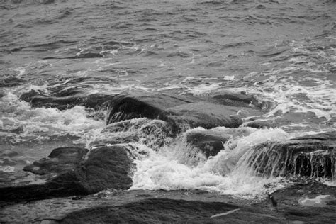 Image result for Fast-Rising Tide