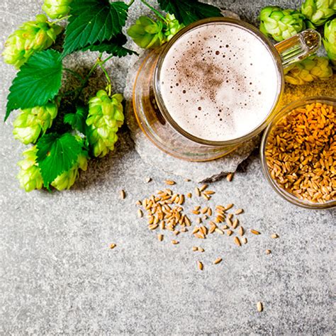 Goma-Malt Based Processing Machine | Manufacturer In India