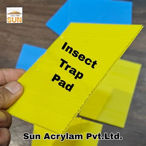 Insect Glue Trap Manufacturer from Ahmedabad