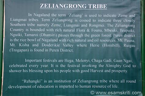 Tribes of Nagaland