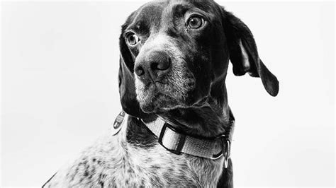 Paint Shop Pro 7 Tutorials 的图像结果