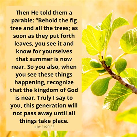 Fig Tree In The Bible Verse at Rebecca Hart blog