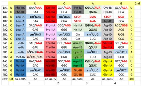 “Superwobbling” and tRNA-34 Wobble and tRNA-37 Anticodon Loop ...