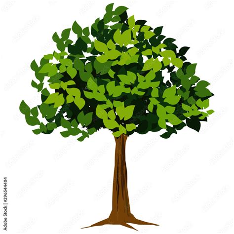 Image result for Simetric Tree Cartoon