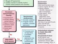 Image result for ACLS Isa Algorithm Blue
