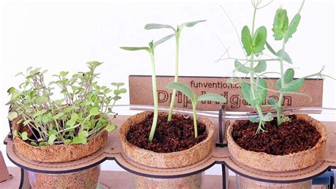 Buy Funvention Garden Drip Irrigation Kit - Build, Plant, Grow, Harvest ...