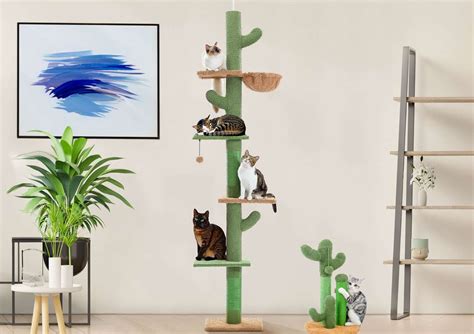 8 Best Floor To Ceiling Cat Trees Of 2024: Ultimate Guide