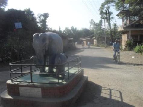 GORKHA HAMLET RESORT (Sauraha) - Lodge Reviews, Photos, Rate Comparison ...