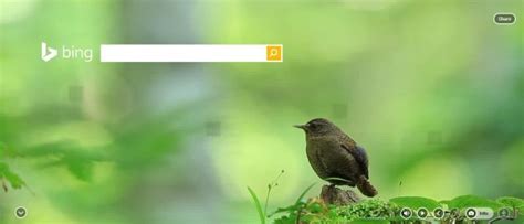 Bing Search IPA Key 的图像结果