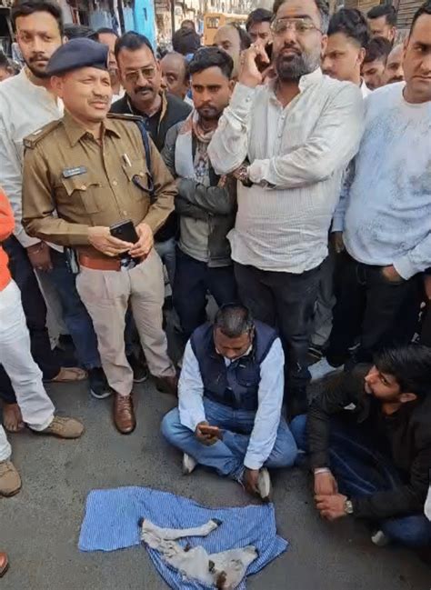 Mandsaur Cow Remains Found; Hindu Organizations Stage Road Blockade