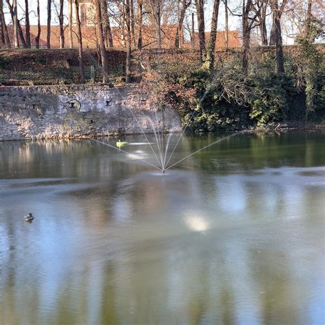 CHELTENHAM-PARK (2025) All You Need to Know BEFORE You Go (with Photos ...