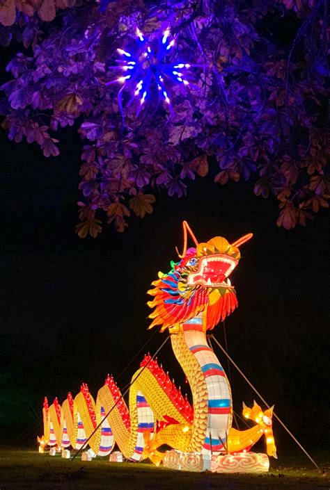 Wild Lanterns at Woodland Park Zoo is a glowing triumph | Westside Seattle