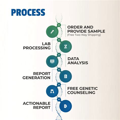 Unlocking Muscle Performance: The Role of Genomics Explained – MapmyGenome