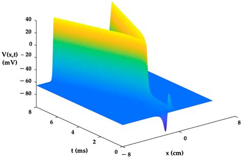 The Difference between Traditional Magnetic Stimulation and Microcoil ...