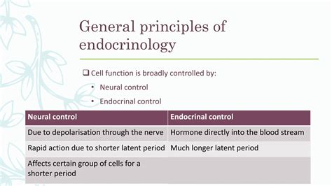 Basic concepts of endocrine system explained | PPT