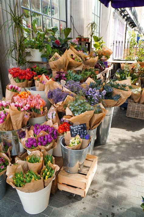 Chelsea In Bloom Flower Displays 2022 | Farmers market flowers, Flower ...